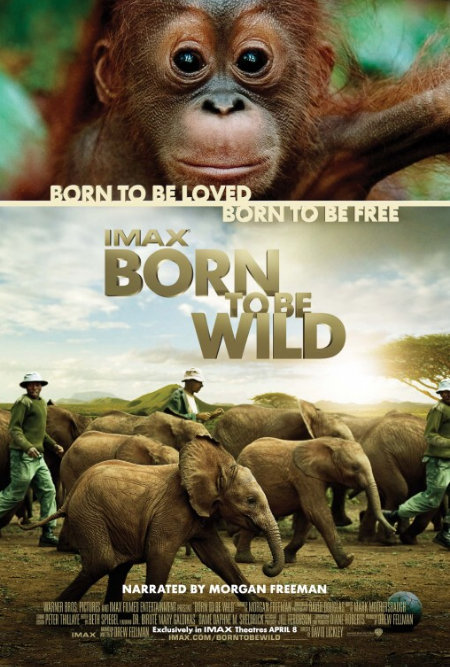 Born To Be Wild Film Poster