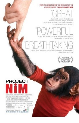 project-nim.jpg